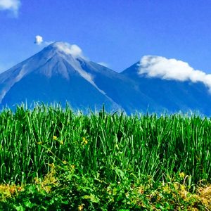 interesting things about Guatemala