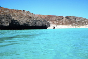 Playa El Caimancito Beach, beaches in la paz mexico, Best Party Cities in Mexico