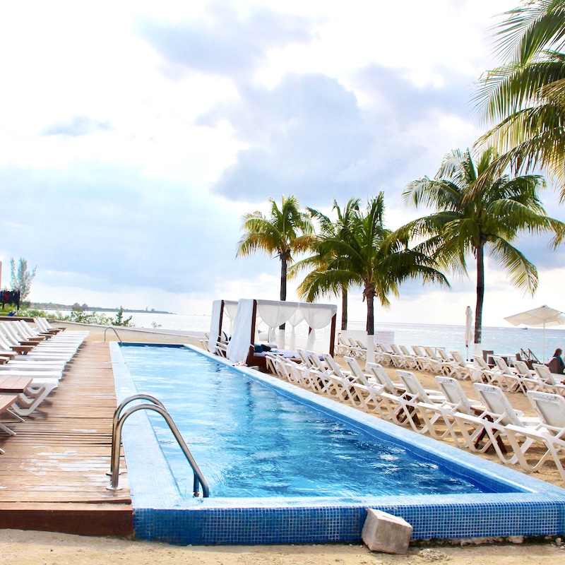 Cozumel swimming pool, trees, best places to snorkel in cozumel