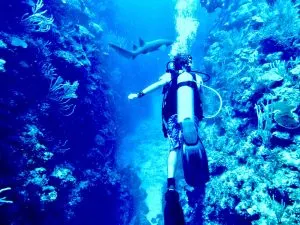 best scuba diving in Cancun, best-all-inclusive-resorts-in-cozumel, cozumel-dive-trips, Mexico Leisure activities, cave Snorkeling Cancun