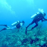 best scuba diving in Cancun, famous things in Mexico, best Caribbean dive sites