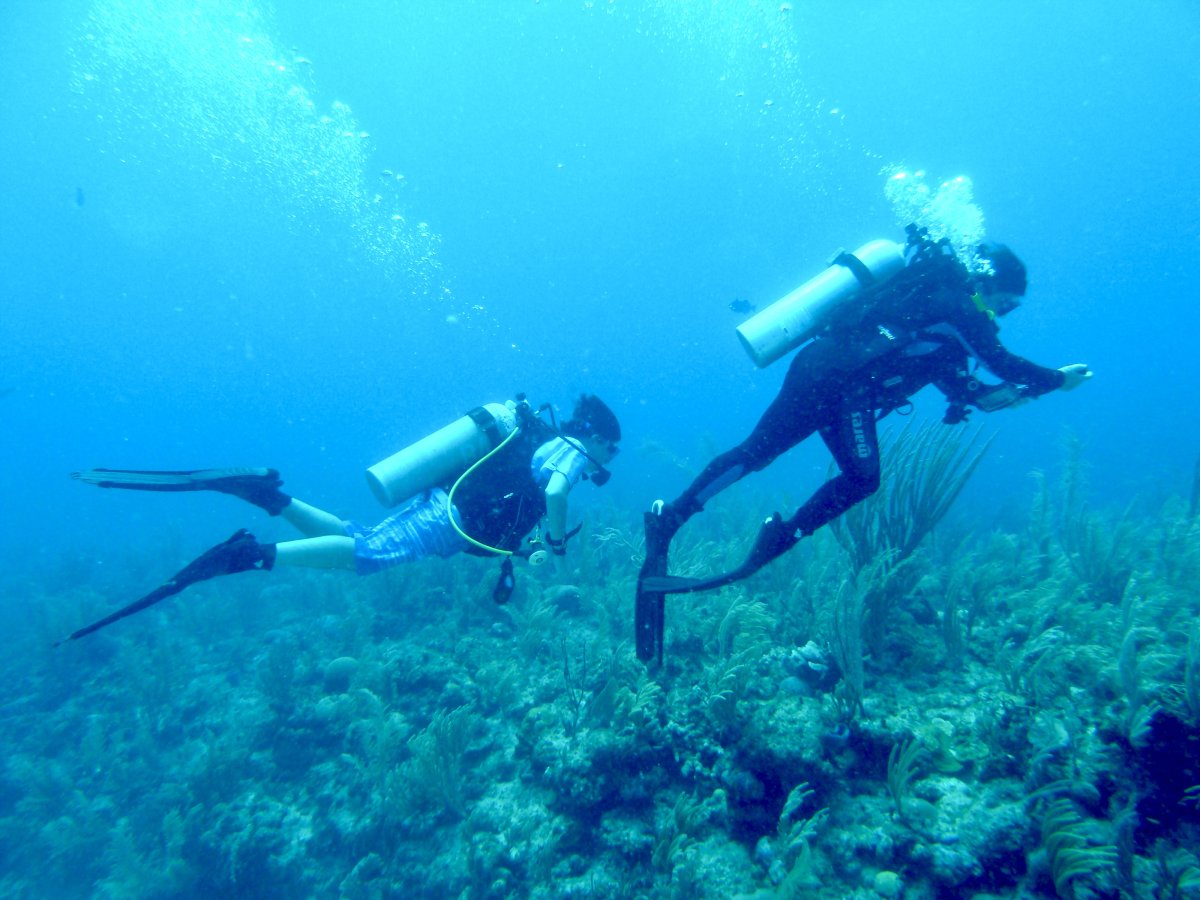 Best Scuba Diving in Cancún The Complete Guide