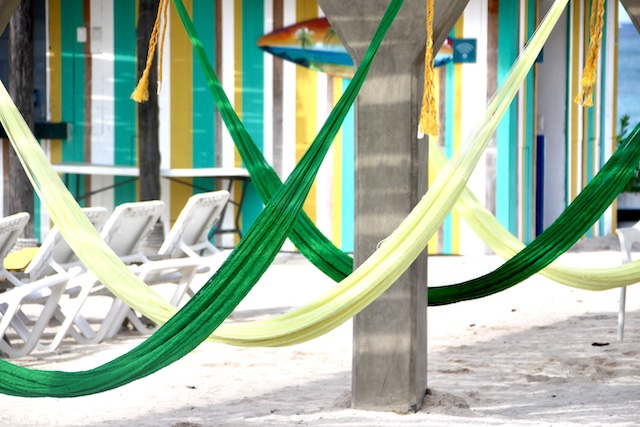 hammocks in cozumel, best places to snorkel in cozumel