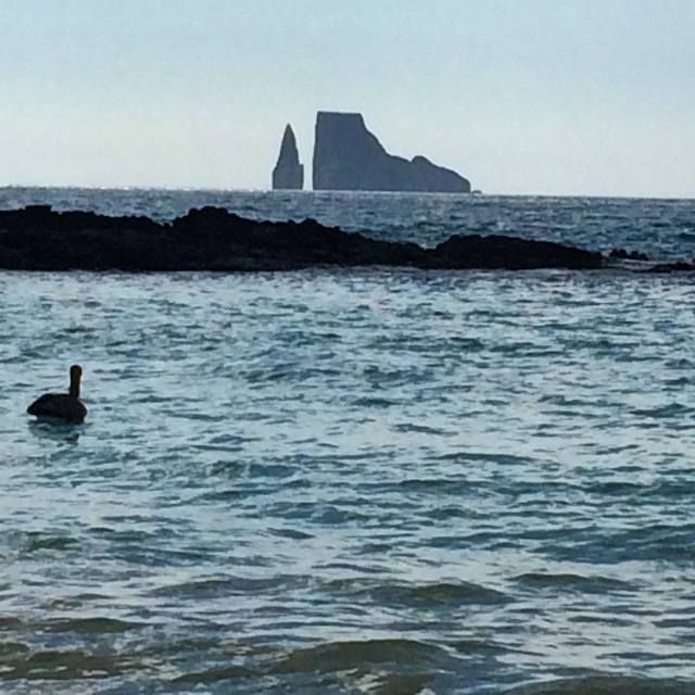 kicker Rock, best way to get to galapagos islands