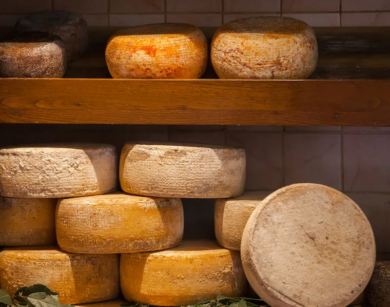 Different types of cheese, pag cheese, Paški Sir, best food in Croatia