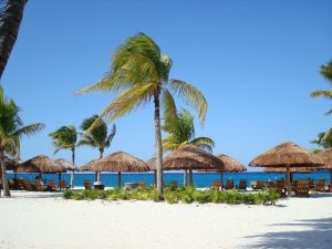 Beach with trees, Cozumel beaches, Los Cabos Mexico beaches, Best Honeymoon Resorts in Mexico of 2022
