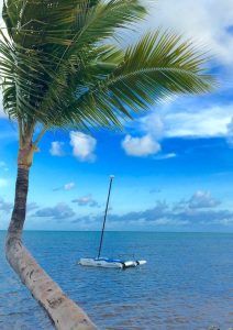 Catamaran in the water, best place to snorkel in key west