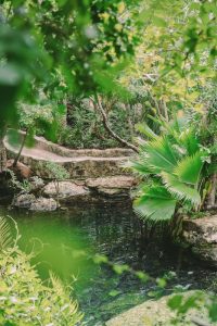 Cenote Cristalino, Best cenotes in Mexico