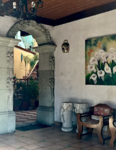 Gorgeous calla lillies, things to do in oaxaca city, crazy things to do in Tulum Mexico