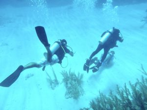 Scuba divers 3, best dive shop in key west