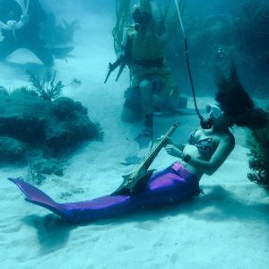 Scuba diving, best place to snorkel in key west