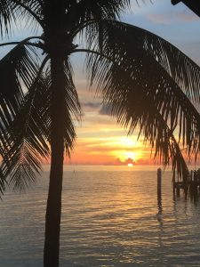 Sunshine,best place to snorkel in key west