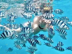 Swimming, best dive shop in key west, Split to Dubrovnik day trip, Cancun all inclusive spring break, spring breakers on the beach
