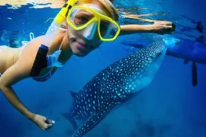 girl with whale shark, whale Breaching, whale shark snorkeling cancun