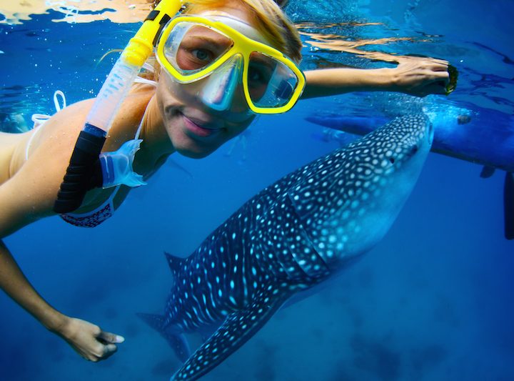 girl with whale shark, whale Breaching, whale shark snorkeling Cancun. Puerto Vallarta whale watching, Mexico Leisure activities, snorkeling in Riviera Maya Mexico, whale watching Mexico