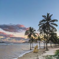 beach with trees, merida mexico beaches