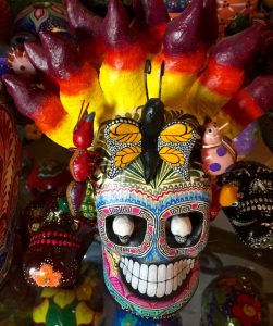 skull with big ant, day of the dead Oaxaca