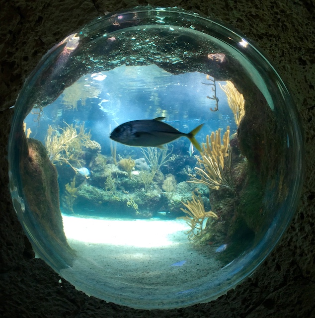 The 5 BEST Zoos & Aquariums in San Diego