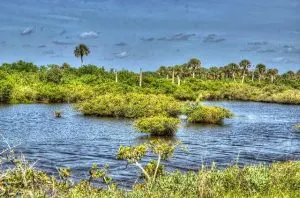 Canaveral National Seashore, are there beaches in Orlando