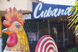 Rooster sculptures Miami 8th Street Calle Ocho Cuba Little Havana, best-party-beaches-in-florida,, Best Party Cities in Mexico,  Cozumel Travel Tips
