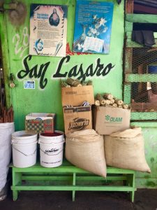 San Lazaro bags, all inclusive trips to Dominican Republic