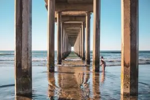 Underneath the bridge, aquariums in San Diego