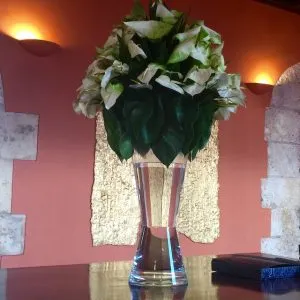 calla lillies in a vase, all inclusive trips to Dominican Republic