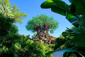 epcot center, Are there beaches in Orlando