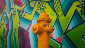 fire hydrant, best places to shop in Miami beach, Miami beach downtown
