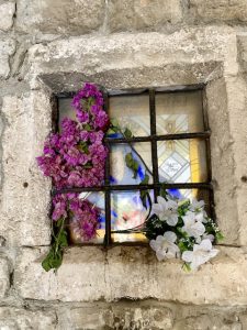 gorgeous flowers, best places to visit in Croatia, trips to Croatia and Greece