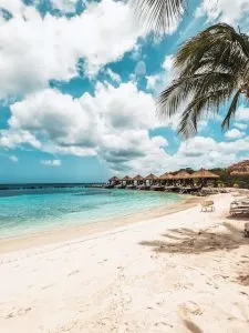 hang out place, Aruba snorkeling