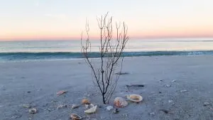 treasure island, are there beaches near Orlando