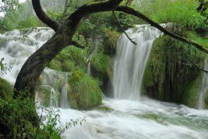 Plitvice lakes national-park, best places to visit in Croatia, Plitvice, trips to Croatia and Greece,, Plitvice Lakes, Split to Dubrovnik day trip, Plitvice Lakes National Park 