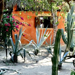 orange wall with cacti, oaxaca mexico beaches