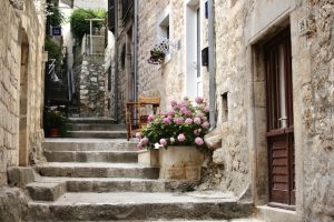 pink flowers, best places to visit in Croatia, Hvar Tow, trips to Croatia, trips to Croatia and Greece, best bars in Dubrovnik