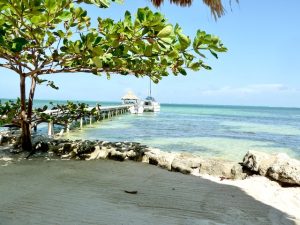 pristine waters, belize snorkeling