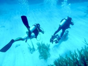 Scuba diving, best places to dive in Mexico, best places to dive in Mexico, Scuba diving, Best Mexican Islands