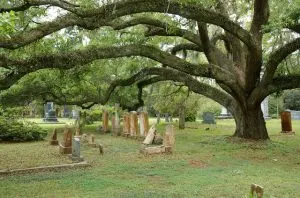  best road trips from Louisiana, St. Francisville Louisiana