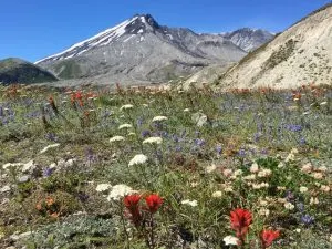 Mount Saint Helens, Best roadtrips from Portland