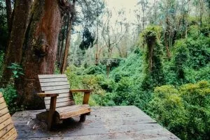 best hikes in Ecuador