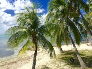 best Caribbean dive sites, Cayman Island beach