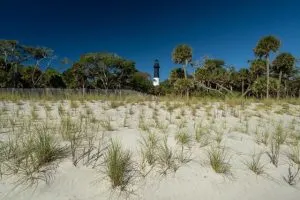 Hunting Island State Park Beach, South Carolina, USA, Charleston Day trips