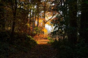 Medvednica Nature Park, Hiking in Croatia