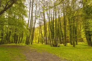 slavonia, hiking in Croatia