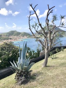 cacti, where to stay in guadeloupe islands
