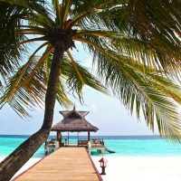 THE 10 BEST Free Things to Do in Cozumel, Amelia Island beaches Florida, best all inclusive resorts Mexico, Mount Solmar, February Weather in Cabo San Lucas Mexico:, Best All-Inclusive Resorts in Mexico