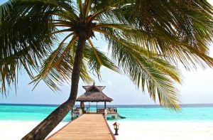 Amelia Island beaches Florida, best all inclusive resorts Mexico