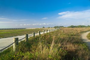 Apollo Beach Florida things to do