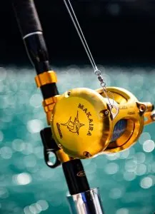 Saint Thomas US Virgin Islands, fishing