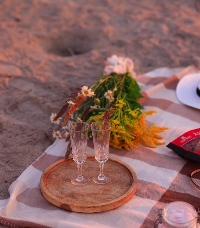 THE 15 BEST Things to Do in Apollo Beach, Florida